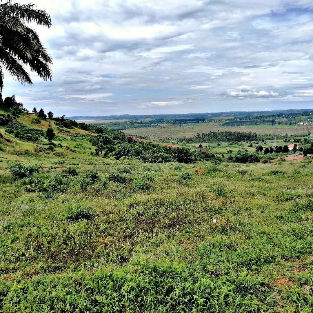 Our title land/estate around Kampala